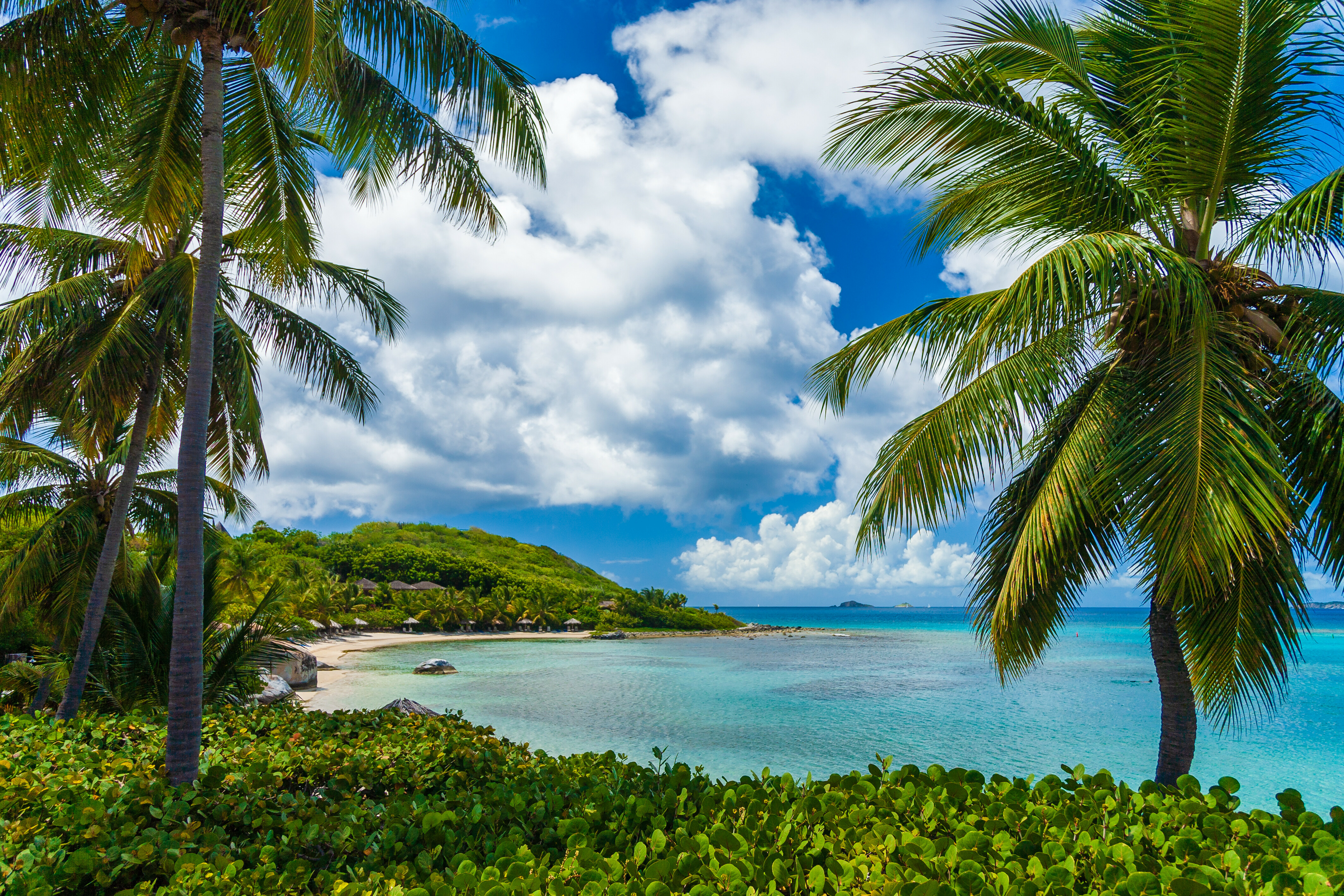 Die Tobago Cays: Ein Segelparadies in der Karibik