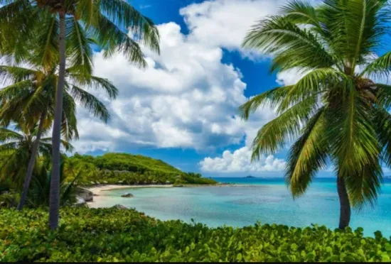 Die Tobago Cays: Ein Segelparadies in der Karibik